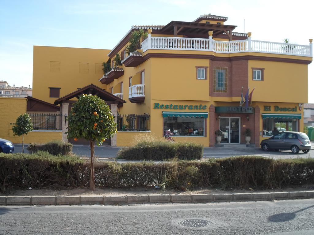 Hotel El Doncel Atarfe Ngoại thất bức ảnh